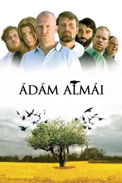 Ádám almái plakát