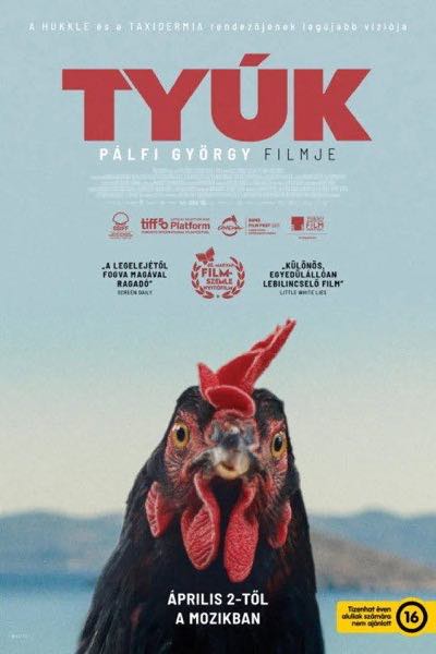 Tyúk plakát